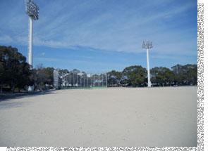 大川中央公園運動広場の画像